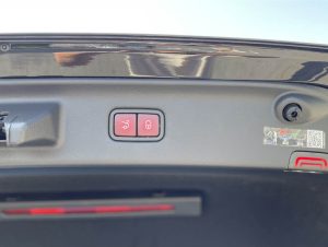 1701859216428-0c7fdc1d-474c-42ba-9948-2eb0093ae3e0_10